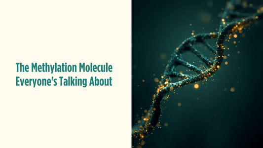 Blog header illustrating TMG and methylation with a DNA and methyl group scientific illustration in teal and gold tones