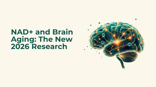 Blog header illustrating NAD+ and brain aging research with a glowing brain and mitochondria network illustration in teal and gold tones