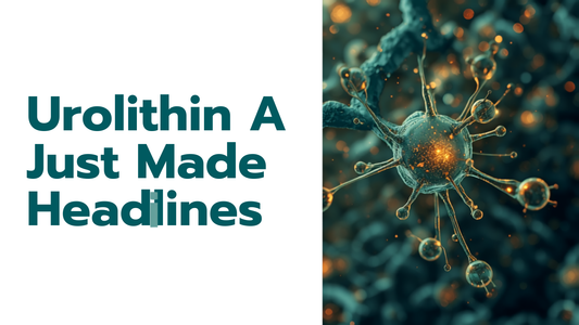 16:9 blog header for Urolithin A Just Made Headlines, headline text on the left, teal and gold mitochondria illustration on the right