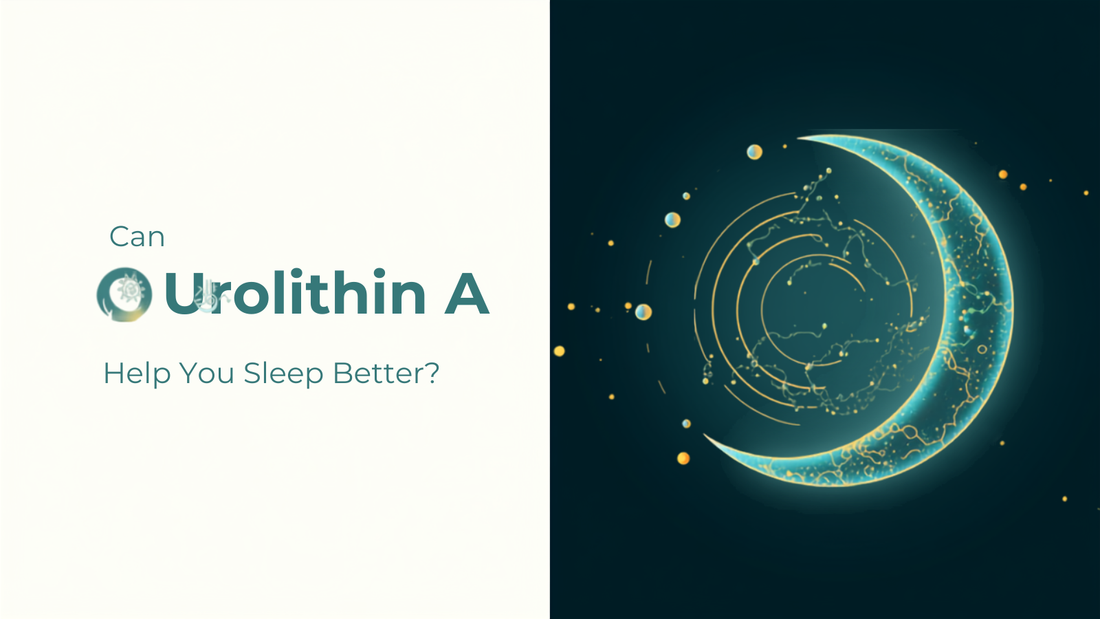 Blog header graphic with the title Can Urolithin A Help You Sleep Better, paired with a glowing molecule and crescent moon illustration representing circadian rhythm and cellular health research