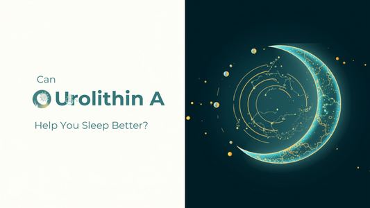 Blog header graphic with the title Can Urolithin A Help You Sleep Better, paired with a glowing molecule and crescent moon illustration representing circadian rhythm and cellular health research