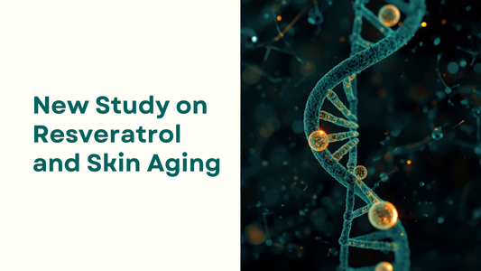 16:9 blog header for New Study on Resveratrol and Skin Aging, headline text on the left, teal and gold cellular molecule illustration on the right
