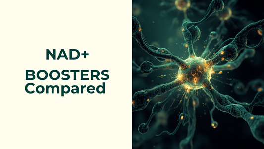 16:9 blog header for NAD+ Boosters Compared, headline text on the left, teal and gold NAD+ molecule illustration on the right