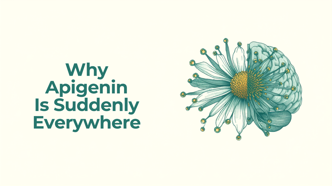 16:9 blog header for Why Apigenin Is Suddenly Everywhere, headline text on the left, teal and gold chamomile and brain molecule illustration on the right