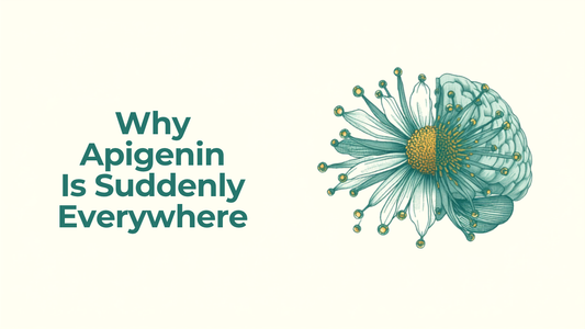 16:9 blog header for Why Apigenin Is Suddenly Everywhere, headline text on the left, teal and gold chamomile and brain molecule illustration on the right