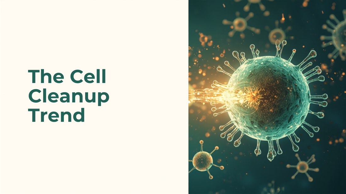 16:9 blog header for The Cell Cleanup Trend, headline text on the left, teal and gold autophagy cell illustration on the right