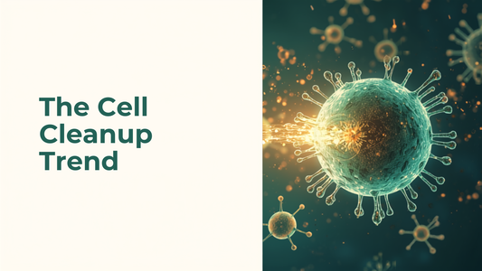 16:9 blog header for The Cell Cleanup Trend, headline text on the left, teal and gold autophagy cell illustration on the right