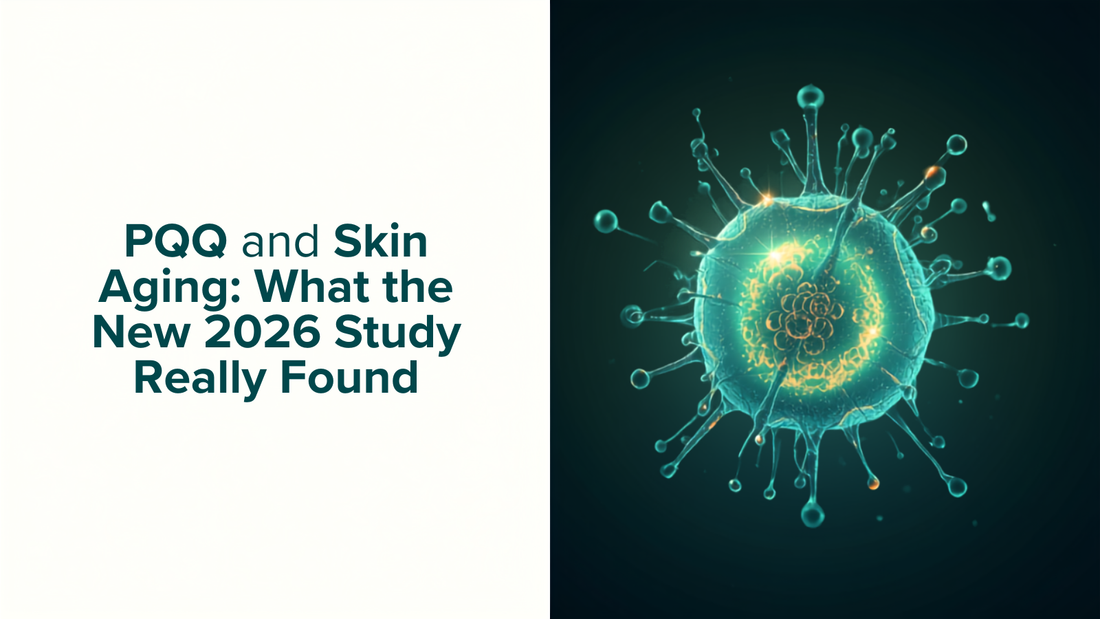 Split image with the blog post title on one side and a glowing teal mitochondria and molecule illustration on the other side