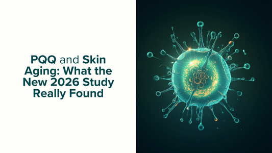 Split image with the blog post title on one side and a glowing teal mitochondria and molecule illustration on the other side