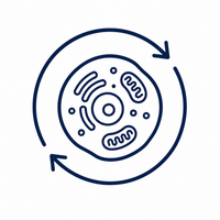 Designed for Daily Use