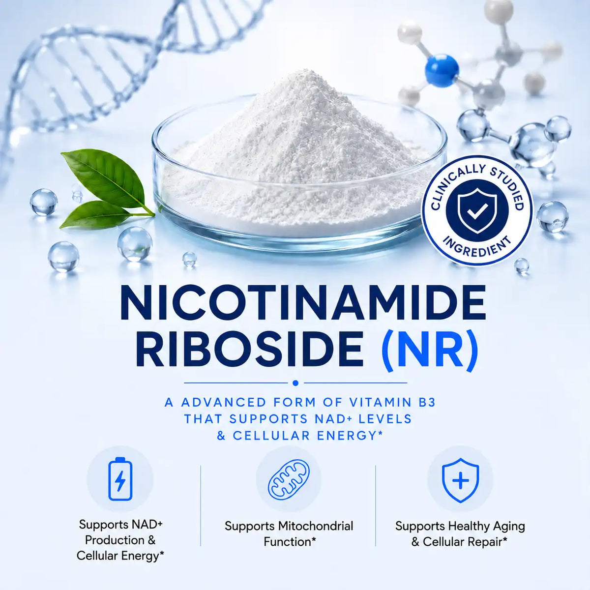 Nicotinamide Riboside (NR)