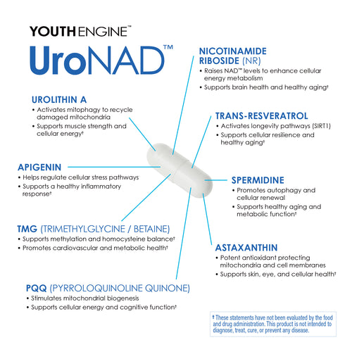 Youth Engine™ UroNAD Capsules 30 Servings