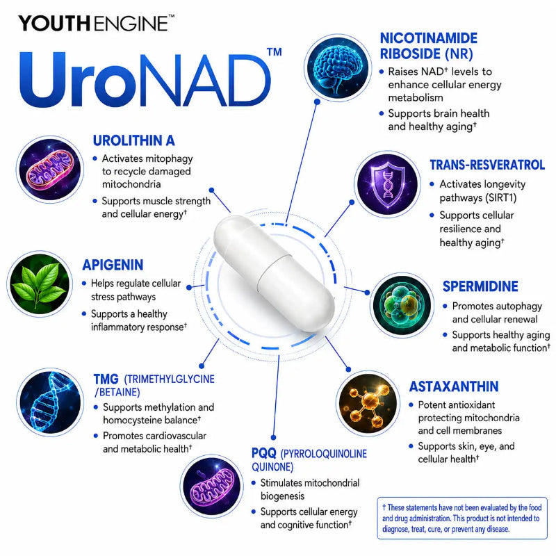 An infographic diagram for UroNAD by Youth Engine, showing a white central capsule surrounded by eight colored circular icons and text labels for different nutrients and their purported benefits, including Urolithin A, Nicotinamide Riboside (NR), Trans-Resveratrol, Apigenin, TMG, Spermidine, Astaxanthin, and PQQ.