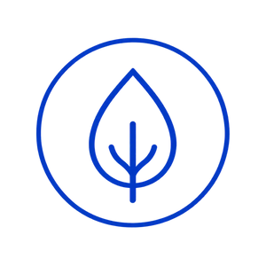 Feature icon