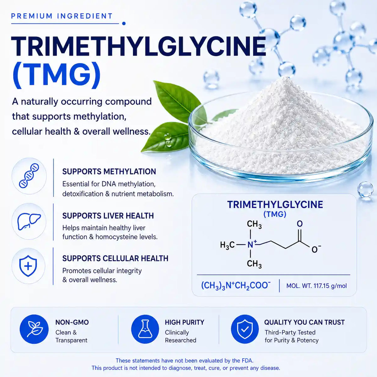 TMG (Trimethylglycine)