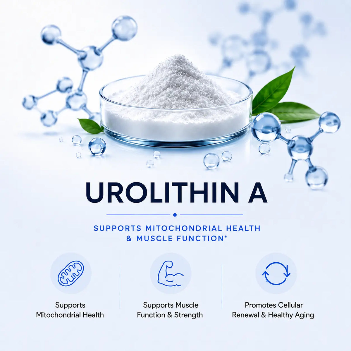 Urolithin A